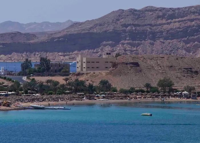 Resort Xperience St. George Sheikh 4*
